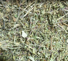 Очанка трава сушена 100 г - зображення 1