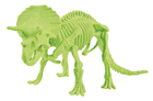 Zestaw do eksperymentów naukowych Clementoni Skamieniałości Triceratops (8005125608928) - obraz 3