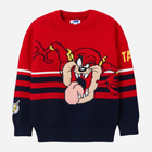 Підлітковий светр для хлопчика OVS 1821328 140 см Червоний (8056781576045) - зображення 1