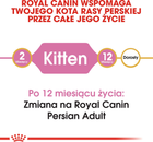 Sucha karma Royal Canin Persian Kitten dla kociąt rasy perskiej 2 kg (3182550721219) - obraz 3