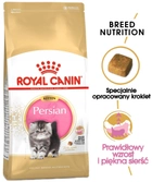 Sucha karma Royal Canin Persian Kitten dla kociąt rasy perskiej 2 kg (3182550721219) - obraz 4