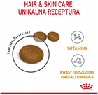 Сухий корм для котів Royal Canin Hair and Skin Care Здорова шкіра та шерсть 400 г (3182550721721) - зображення 5