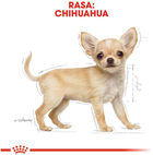Сухий корм Royal Canin Chihuahua Puppy для цуценят породи чихуахуа 500 г (3182550722537) - зображення 4