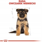 Sucha karma Royal Canin German Shepherd Puppy dla szczeniąt rasy owczarek niemiecki 3 kg (3182550724142) - obraz 7