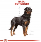Sucha karma Royal Canin Rottweiler Adult dla dorosłych psów rasy rottweiler 12 kg (3182550736060) - obraz 6