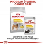 Sucha karma Royal Canin Medium Dermacomfort dla dorosłych psów średnich ras o wrażliwej skórze 3 kg (3182550773829) - obraz 4