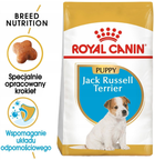 Sucha karma Royal Canin Jack Russell Terrier Puppy dla szczeniąt rasy Jack Russell Terrier do 10 miesiąca życia 0.5 kg (3182550822114) - obraz 2