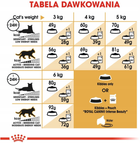 Sucha karma Royal Canin Sphynx Adult dla kotów dorosłych rasy Sfinks 400 g (3182550825948) - obraz 6
