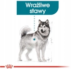 Sucha karma Royal Canin Maxi Joint Care dla psów dużych ras z chorobami stawów od 15 miesiąca życia 3 kg (3182550852586) - obraz 6