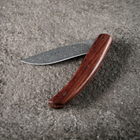 Нож складной HX Outdoors ZD-072, дерево - изображение 3
