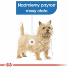 Sucha karma Royal Canin Mini Light Weight Care dla psów z nadwagą 3 kg (3182550894104) - obraz 9