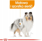 Sucha karma Royal Canin Coat Care Mini dla psów małych ras o szorstkiej i matowej sierści 1 kg (3182550894333) - obraz 7