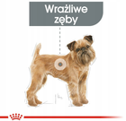 Sucha karma Royal Canin Dental Care Mini dla psów małych ras wymagających opieki stomatologicznej 1 kg (3182550894395) - obraz 4