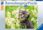 Puzzle Ravensburger Kitten In The Meadow 500 elementów (4005556173785) - obraz 1