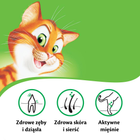 Sucha karma dla kotów Kitekat Kurczak z warzywami 300 g (5900951248856) - obraz 4