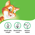 Sucha karma dla kotów Kitekat Ryba z warzywami 1.8 kg (5900951279881) - obraz 5