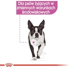Mokra karma Royal Canin Relax Care dla dorosłych psów które są zestresowane 12 x 85 g (9003579008850) - obraz 5
