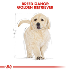 Sucha karma dla psów z nadwagą Royal Canin Golden Retriever Puppy 1 kg (3182550751247) - obraz 3