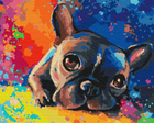 Картина по номерам Цветной бульдог (BS28895) Brushme 40x50 см