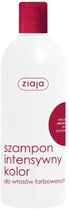 Шампунь Ziaja інтенсивний колір для фарбованого волосся 400 мл (5901887020196) - зображення 1