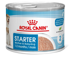 Вологий корм для собак Royal Canin Starter Mousse 12 x 195 г (9003579010532) - зображення 1