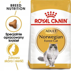 Sucha karma dla kotów Royal Canin Norwegian Adult 400 g (3182550825962) - obraz 2