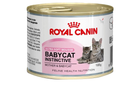 Вологий корм для кішок в період вагітності та для кошенят Royal Canin Babycat Instinctive Mousse 12 x 195 г (9003579002667) - зображення 1