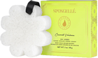 Gąbka nasączona mydłem Spongelle Boxed Flower do mycia ciała Coconut Verbena (850780001304) - obraz 1