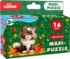 Пазл Ludum Maxi-puzzle Котик 3 16 элементов (ME5032-04)