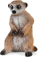 Zestaw figurek do zabawy Schleich Wild Life Meerkat Hill (4059433570624) - obraz 4
