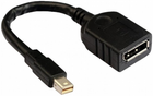 Адаптер HP DisplayPort - mini-DisplayPort Black (3200770933) - зображення 1