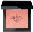 Róże do policzków Stendhal Illuminating Blush 300 Rose Jaipur 5.5 g (3355996047780) - obraz 1