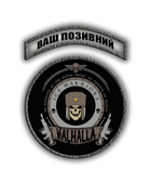 Комплект шевронів патч " Крижані Воїни Вальхалла ІД Warhammer 40000 " на липучці велкро