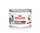 Влажный корм для взрослых собак Royal Canin Recovery Паштет