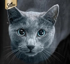 Вологий корм для котів Sheba Selection соковиті смаки 4 х 85 г (3065890100145) - зображення 2