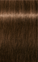 Trwała farba do włosów Schwarzkopf Igora Royal Absolutes 5 - 50 Light Brown Gold Natural 60 ml (4045787278729 / 7702045548853) - obraz 1