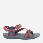 Жіночі сандалі Jack Wolfskin Lakewood Ride Sandal W 4019041-2131 42 Рожеві (4060477078939) - зображення 1