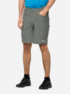 Спортивні шорти чоловічі Jack Wolfskin Tourer Shorts M 1507231-4143 50 Хакі (4064993663570) - зображення 1