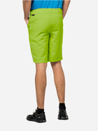 Спортивні шорти чоловічі Jack Wolfskin Tourer Shorts M 1507231-4150 50 Салатові (4064993663648) - зображення 2