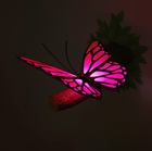Настінний світильник DPM 3D метелик (FX14209) - зображення 3