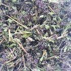 Орегано/материнка/душица трава сушеная 100 г - изображение 1