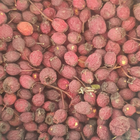 Боярышник плоды/ягоды сушеные 100 г - изображение 1