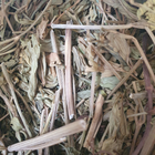 Любисток лекарственный трава сушеная 100 г - изображение 1