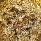 Чорнобильник/полин звичайний трава сушена 100 г - зображення 1