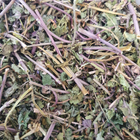 Будра обыкновенная трава сушеная 100 г - изображение 1