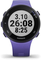 Спортивний годинник Garmin Forerunner 45S Iris (010-02156-11) - зображення 3