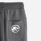 Підліткові спортивні штани для хлопчика Cool Club LCB2420122 140 см Антрацит (5903977121967) - зображення 4