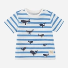 Дитяча футболка для хлопчика Cool Club CCB2401794 62 см Синя (5903977262400) - зображення 1