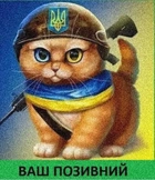 Шеврон патч "Рыжий кот ВСУ" на липучке велкро - изображение 1