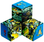 Головоломка Shashibo Shape Shifting Box Undersea (0860002983950) - зображення 6